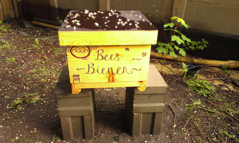 Mitmachtag der Bienen AG