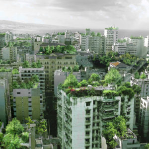 Lesetipp zu Stadtplanung und Urbanen Gärten