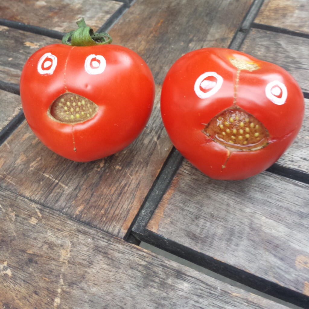 Tomaten im Glas und ein paar No-Gos