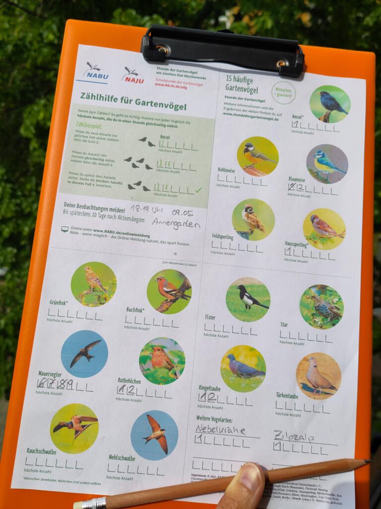 Stunde der Gartenvögel