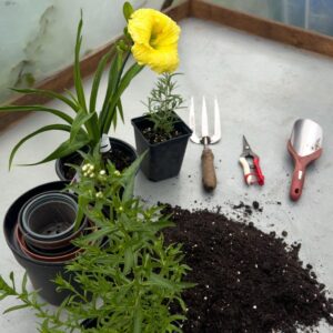 Workshop Pflanzenvermehrung