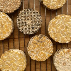 Workshop Tempeh herstellen