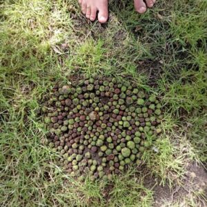 Kunst trifft Natur