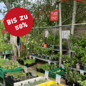 Herbst-Pflanzen-Sale