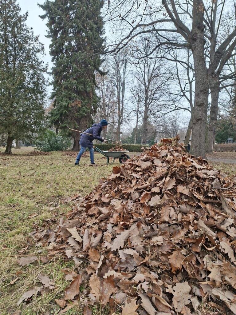 Bewegung an frischer Winterluft und wieder was gelernt