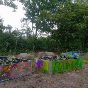 Gärtnern mit Kindern